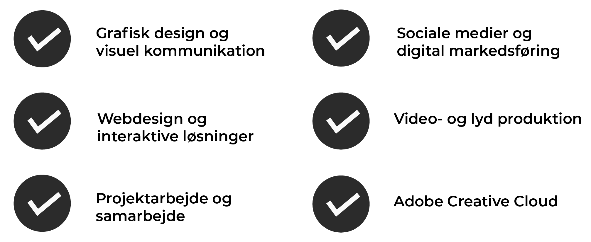 tjekliste over mine kompetencer