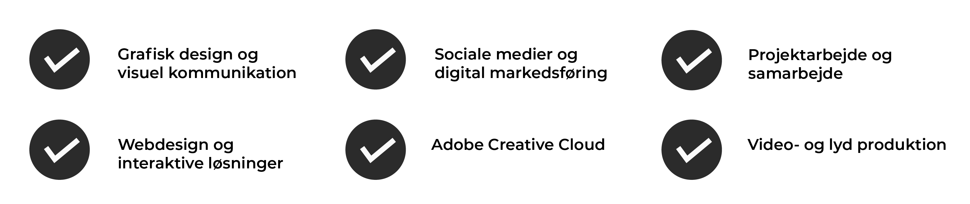 tjekliste over mine kompentencer