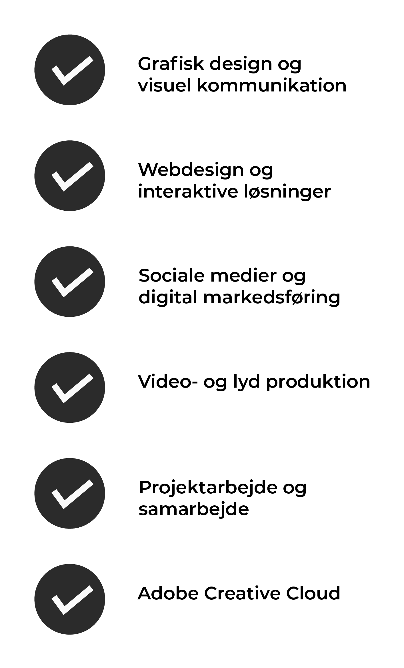 tjekliste over mine kompetencer